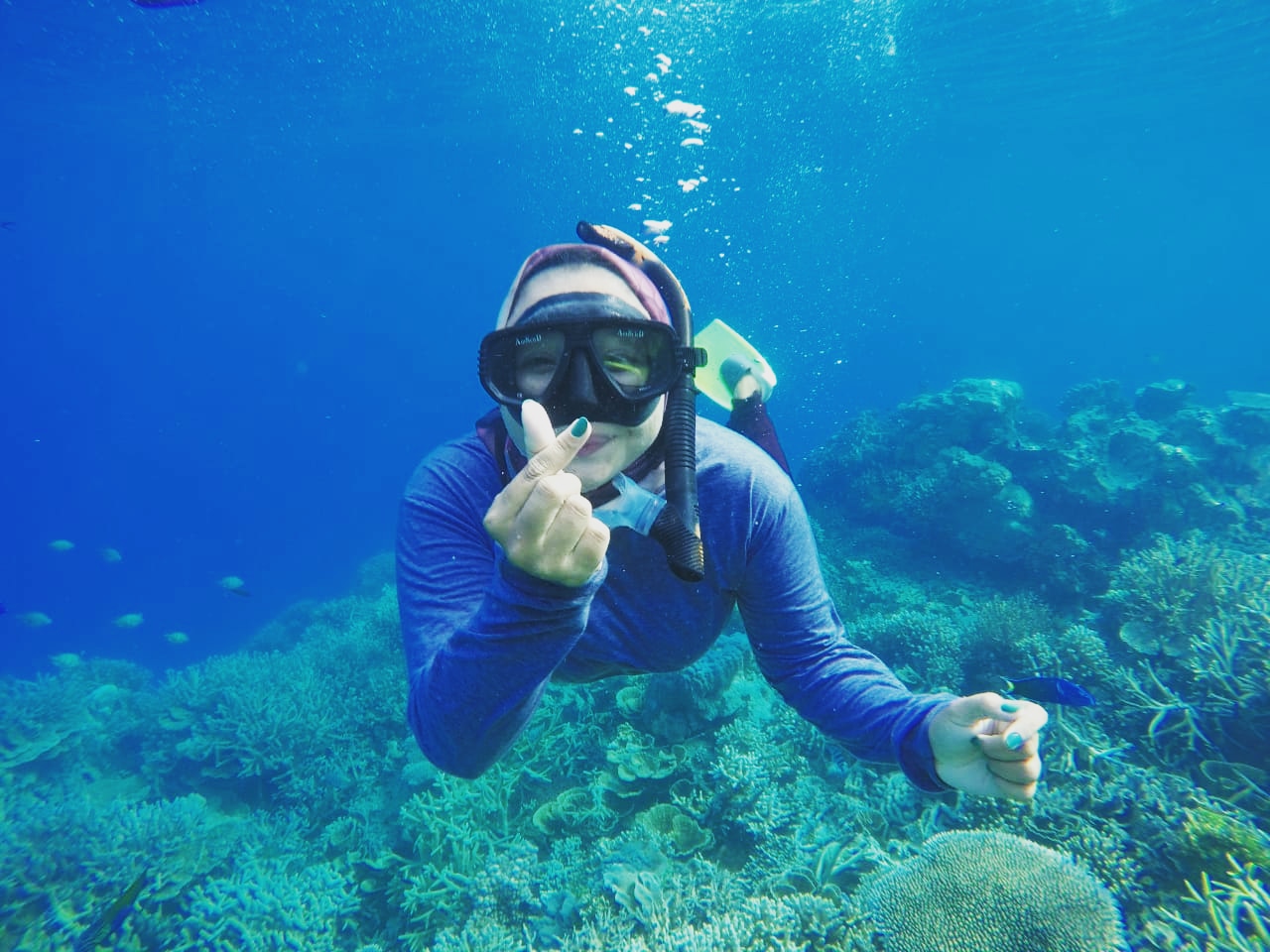 Fakta Snorkeling di Karimunjawa