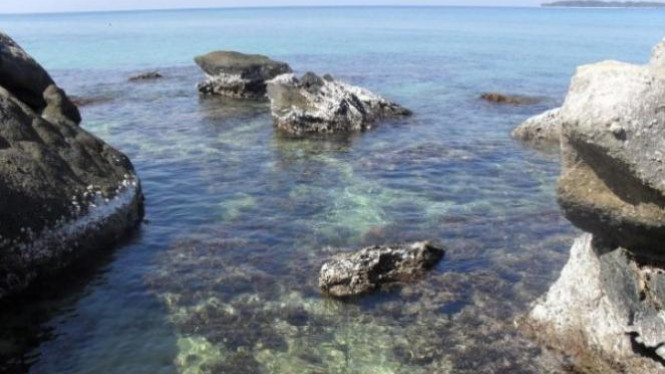 Pantai Batu Putih Karimunjawa