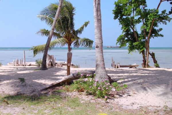 Pantai Bunga Jabe Karimunjawa